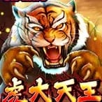 Tiger Warrior screenshot